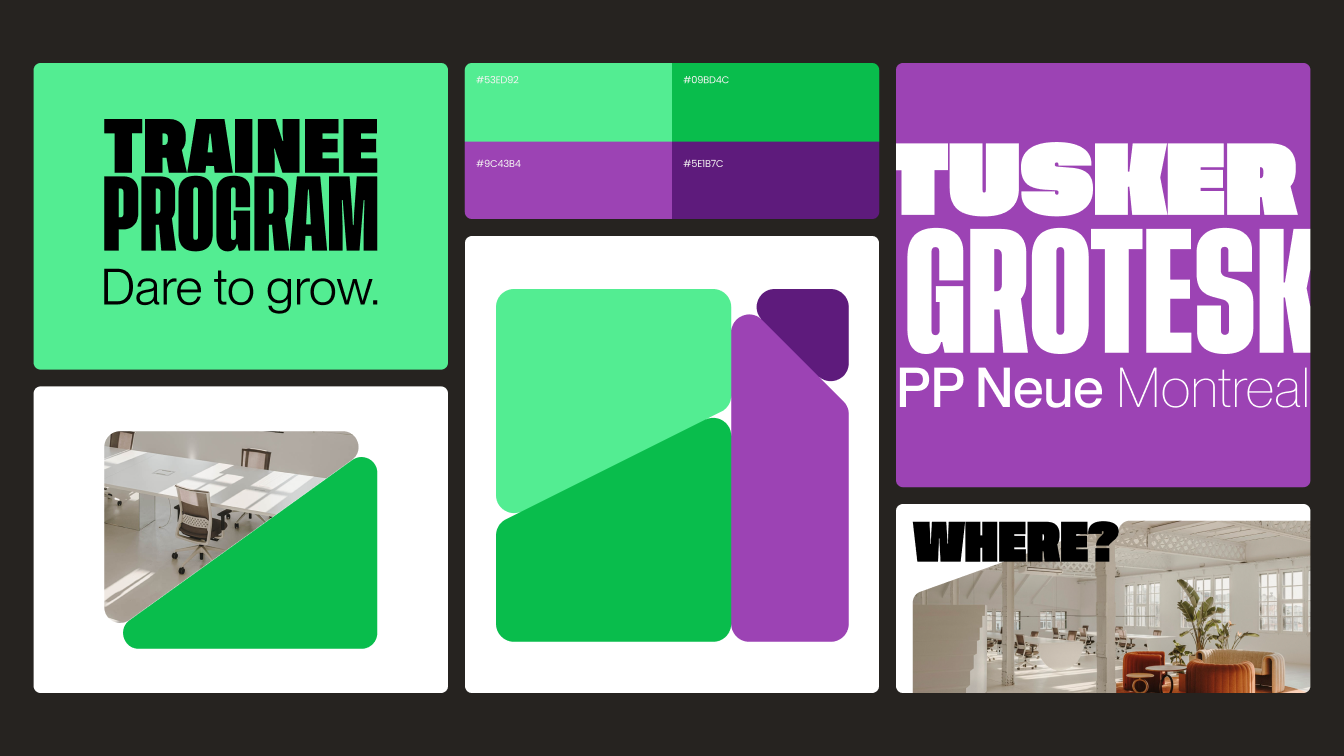 Schneider Trainee Program