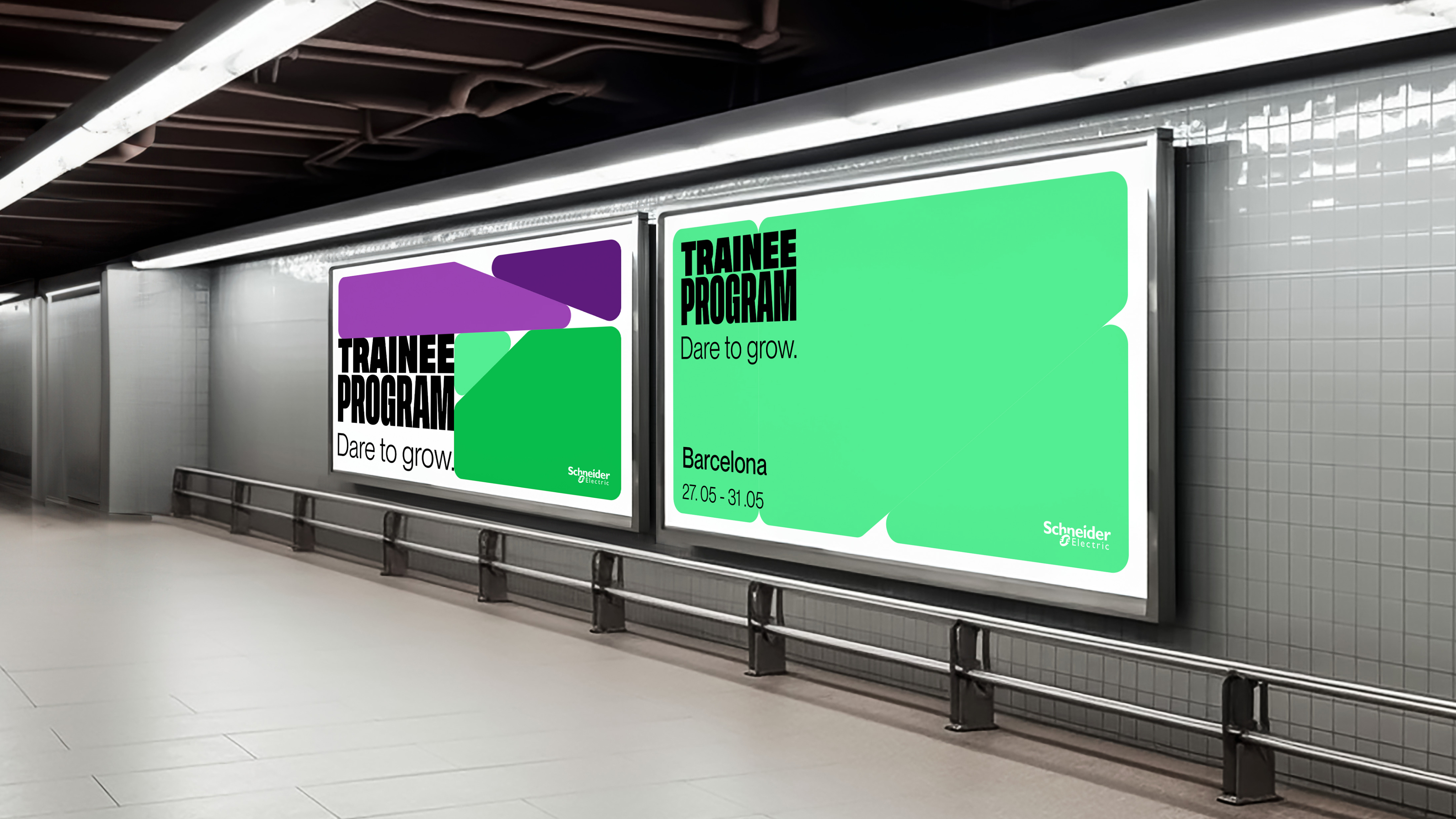 Schneider Trainee Program